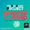 Download track Whisper In The Wind (Radio Edit)