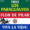Download track Viva La Vida! Viva El Amor! (Paraguayan Song)