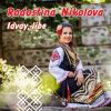Download track Ne Pribiray, Mila Mamo, Stroynitsi