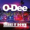 Download track Shake It Down (Instrumental Mix)