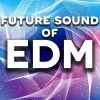 Download track Future Sound Of Edm Continuous Dj Mix 2