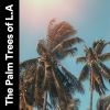 Download track Palm Trees Of L. A