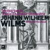 Download track 01. Wilms - Symphony No. 4 In C Minor Op. 23 - I. Adagio - Allegro Non Molto
