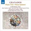 Download track Piano Quintet In G Minor, Op. 49 - II. Allegretto Quasi Andantino
