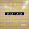 Download track Dreamland (TWD Vocal Remix)