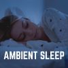 Download track Soothing Ambience For Sleeping Babies, Pt. 45