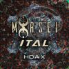 Download track Hoax