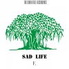 Download track Sad Life