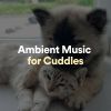 Download track High-Fidelity Ambient