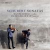 Download track Duo Sonata In A Major, Op. 162, D. 574 (Arr. J. Kellermann For Violin & Guitar): III. Andantino