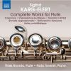 Download track 21.30 Caprices For Solo Flute Op. 107 - No. 18 Adagio Quasi Cadenza