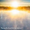 Download track Morning Dew Forest Birdsong Ambience, Pt. 17