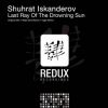 Download track Last Ray Of The Drowning Sun (Original Mix)