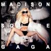 Download track Interlude 3 (Gaga Calls A Fan)