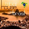 Download track Tribal House Do Brasil 2014 (Continuous Mix)