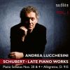Download track 03. Piano Sonata No. 20 In A Major, D. 959 III. Scherzo. Allegro Vivace - Trio. Un Poco Più Lento