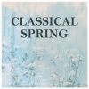 Download track Mozart: Im Frühlingsanfang: Erwacht Zum Neuen Leben, K. 597