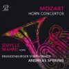 Download track Horn Concerto No. 4 In E-Flat Major, K. 495 II. Andante Cantabile
