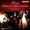 Download track 22. Trio Sonata No. 6 In B Minor - II. Allegro