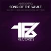 Download track Song Of The Whale (Original Mix)
