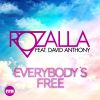 Download track Everybody's Free (Davis Redfield Extended)