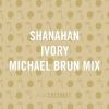 Download track Ivory (Michael Brun Mix)