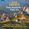 Download track Piano Quartet No. 1 In D Major, Op. 16- I. Allegro Moderato