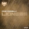 Download track Lioness (Original Mix)