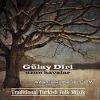 Download track Ankarada Yedim Taze Meyvayı