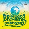 Download track Brazil (Danny Wheeler Edit)