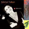 Download track Yarim İstanbulu Mesken Mi Tuttun