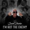 Download track I'M NOT THE ENEMY