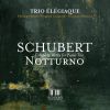 Download track Piano Trio No. 2 In E-Flat Major, Op. 100, D. 929: II. Andante Con Moto-Un Poco Più Lento