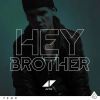 Download track Hey Brother (Syn Cole Remix)