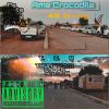 Download track Thandaza