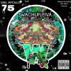Download track Wachufleiva 75-2 (Original Mix)