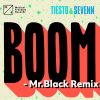 Download track BOOM (Mr. Black Remix)