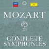 Download track Mozart- Symphony No. 33 In B Flat, K. 319 - 2. Andante Moderato