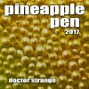 Download track Pineapple Pen 2017 (Instrumental Club Extended)