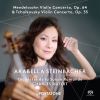 Download track Violin Concerto In D Major, Op. 35, TH 59 - I. Allegro Moderato