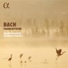 Download track 10. Nun Komm, Der Heiden Heiland, BWV 659 (Transcr. For Recorder And Harpsichord By Julien Martin And Olivier Fortin)