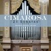 Download track Organ Sonata In A Major - Allegro, C19, F19