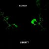 Download track Liberty (Radio Edit)