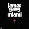 Download track Miami Two-Step
