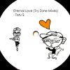 Download track Eternal Love (Try Flute Dub Zone)