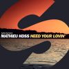 Download track Need Your Lovin' (Original Mix)