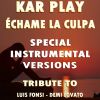 Download track Echame La Culpa (Like Instrumental Mix Without Drum)