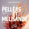 Download track 07 - Pelléas Et Mélisande, L. 88 Act I Scene 3- Devant Le Château - Il Fait Sombre Dans Les Jardins (Mélisande, Geneviève, Pelléas)