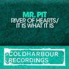 Download track River Of Hearts (Ben Gold Remix)