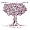 Download track Foxgloves